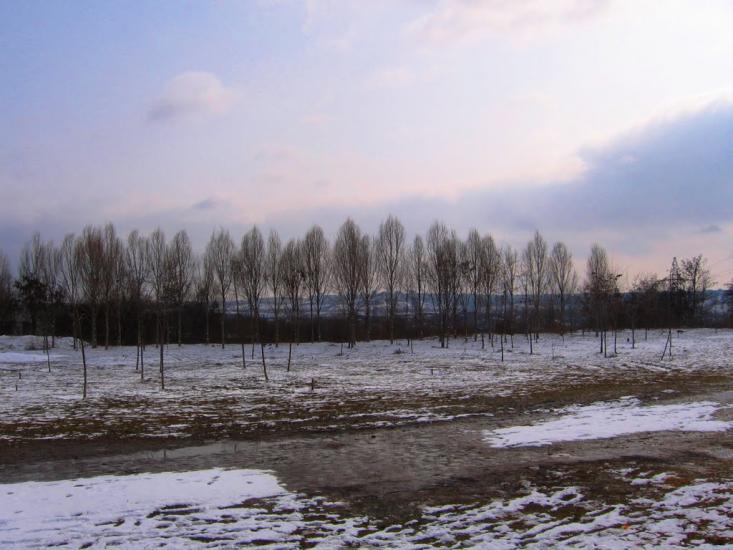 Дніпрельстан з panoramio.com - Дніпрельстан