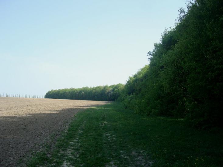 Маціорськ з panoramio.com - Мациорск