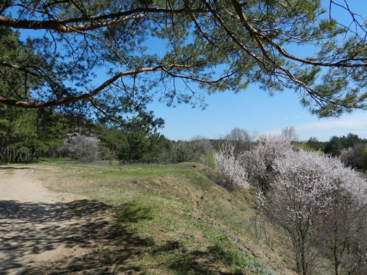 Широке з panoramio.com - Широкое