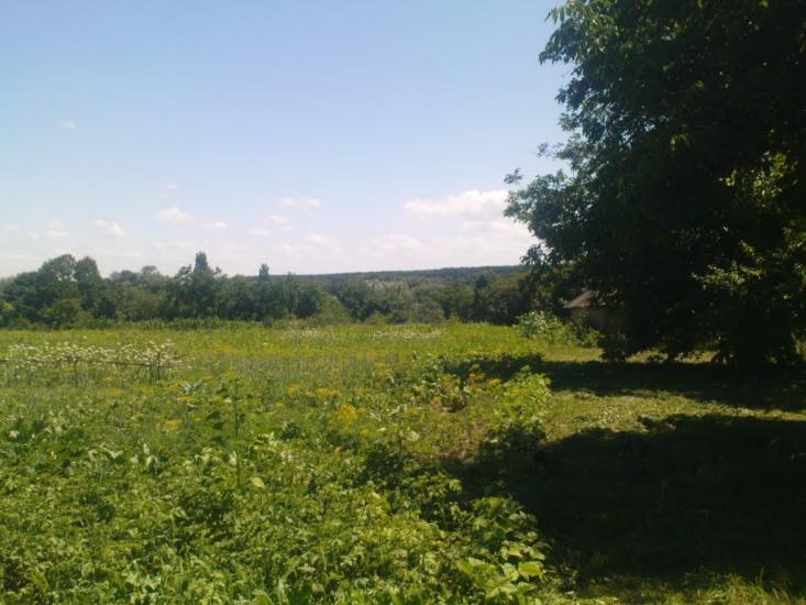 Тишківка з panoramio.com - Тишківка