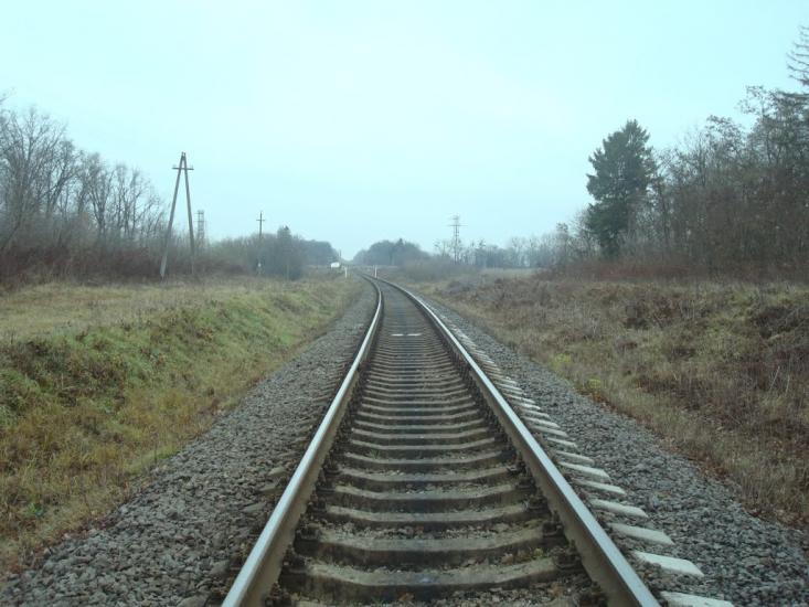 Кузьмин з panoramio.com - Кузьмин