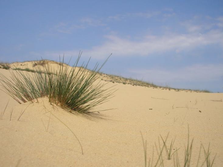 Пролетарка з panoramio.com - Пролетарка