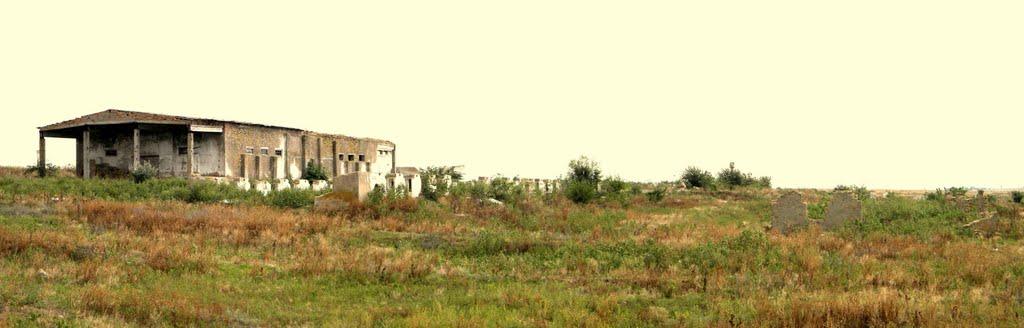 Павлівка з panoramio.com - Павловка