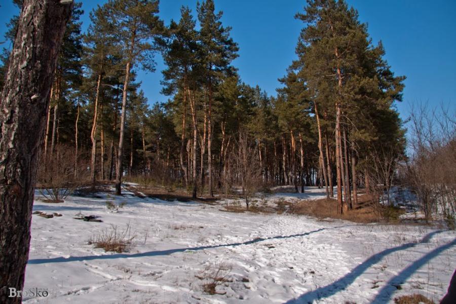 Горянівське з panoramio.com - Горяновское