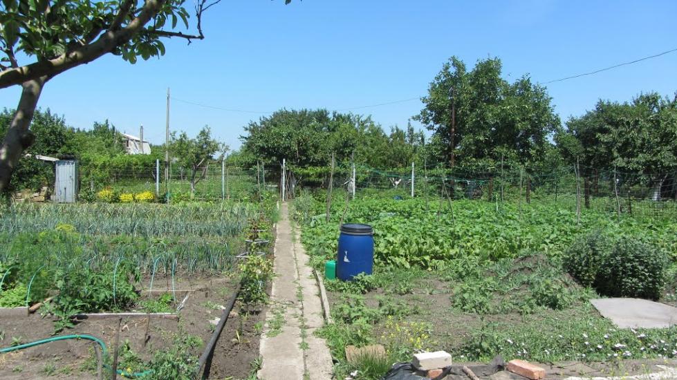 Панкратове з panoramio.com - Панкратово