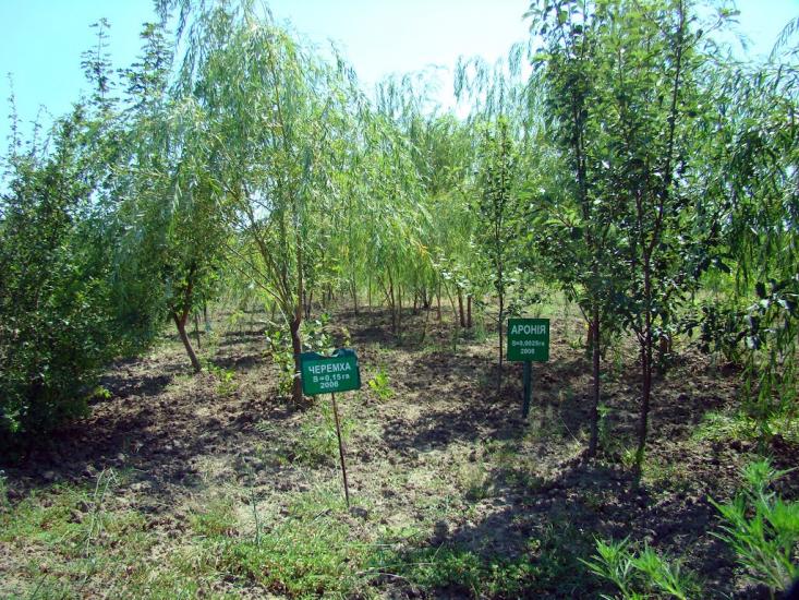 Новопилипівка з panoramio.com - Novopylypivka