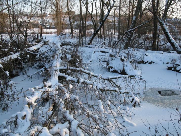 Джурин з panoramio.com - Джурин