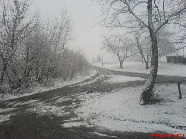 Попівка з panoramio.com - Поповка
