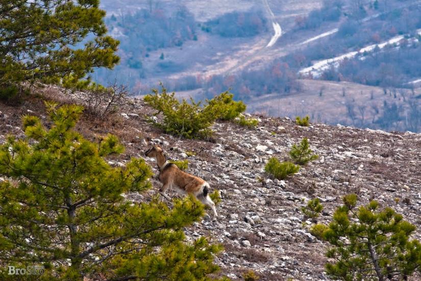 Тургенєвка з panoramio.com - Тургенєвка