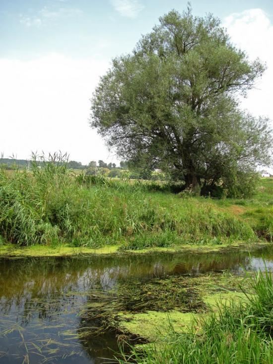 Озерне з panoramio.com - Озерне