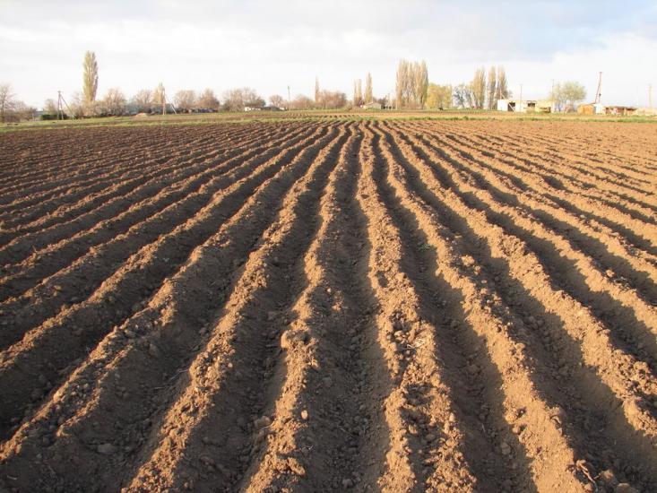 Кріпке з panoramio.com - Крепкое