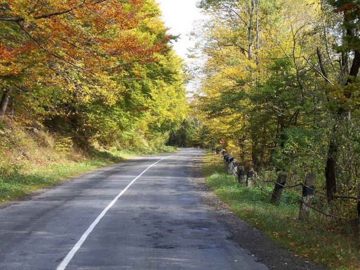 Пшеничники з panoramio.com - Пшеничники