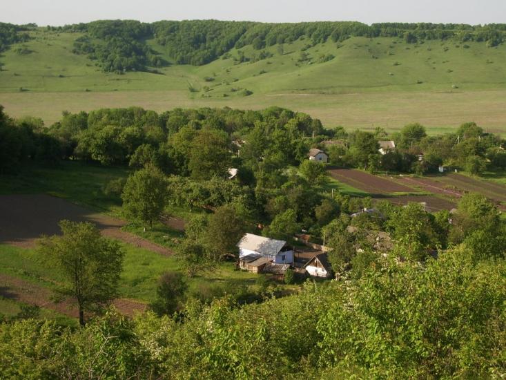 Гутисько з panoramio.com - Gutysko