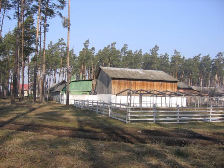 Мигалки з panoramio.com - Mygalky