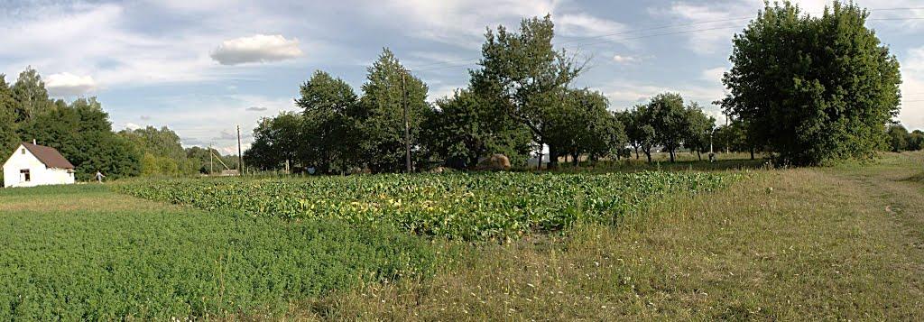 Спасів з panoramio.com - Спасів