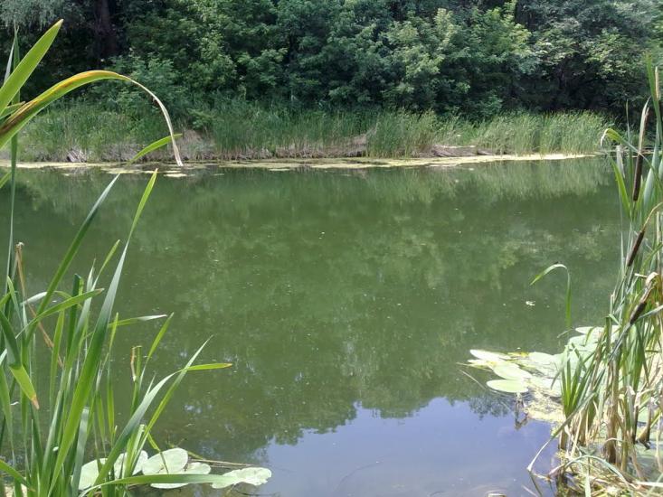 Геївка з panoramio.com - Геївка