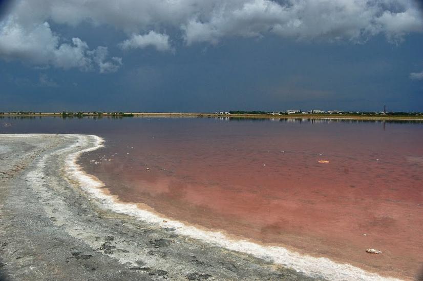 Вітине з panoramio.com - Витино