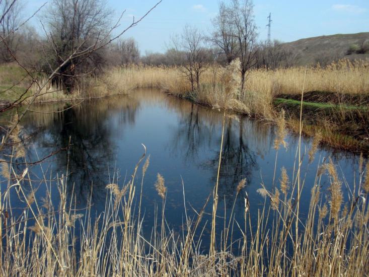 Веселянка з panoramio.com - Веселянка