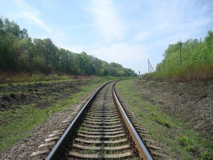 Старі Бейзими з panoramio.com - Старі Бейзими