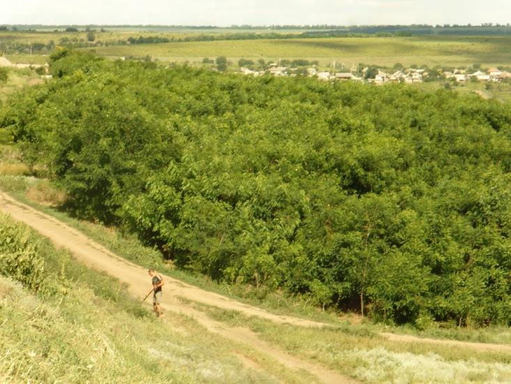 Малоярославець Перший з panoramio.com - Малоярославец Первый