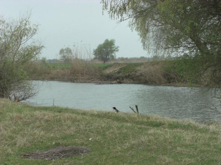 Стара Некрасівка з panoramio.com - Стара Некрасівка