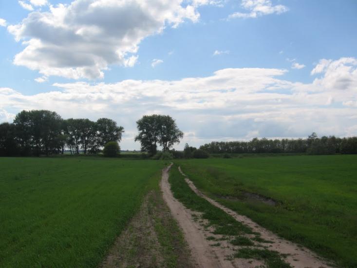 Товстоліс з panoramio.com - Толстолес