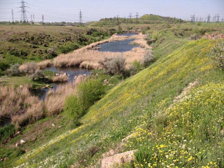 Степне з panoramio.com - Степное