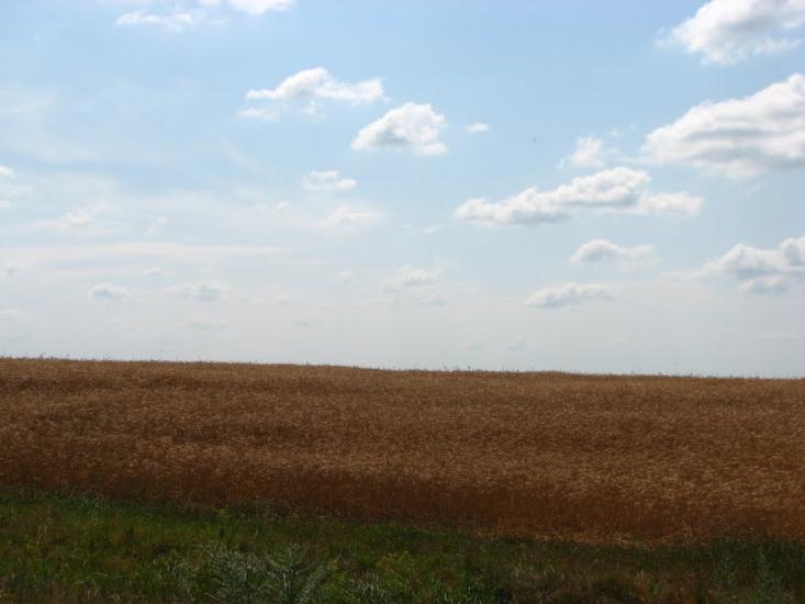 Халявин з panoramio.com - Халявин