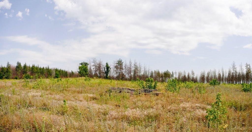 Слов'яносербськ з panoramio.com - Славяносербск