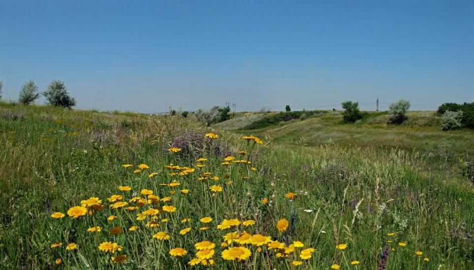 Новомайське з panoramio.com - Новомайское