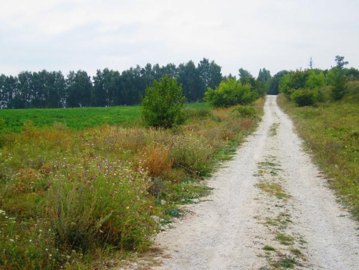 Івахнівці з panoramio.com - Ивахновцы