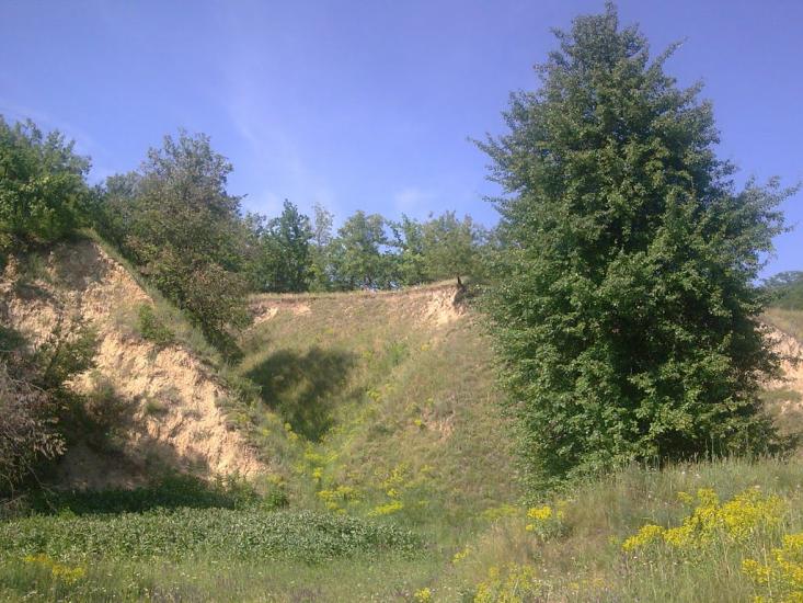 Горького з panoramio.com - Горького