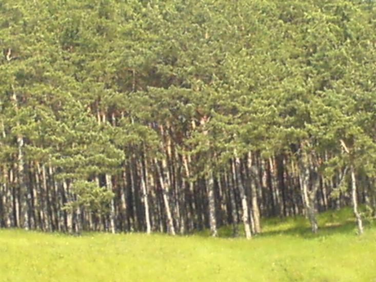 Гірки з panoramio.com - Горки