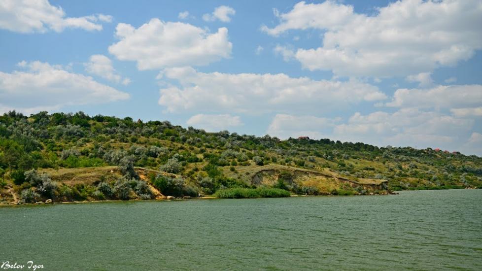 Алтестове з panoramio.com - Алтестово
