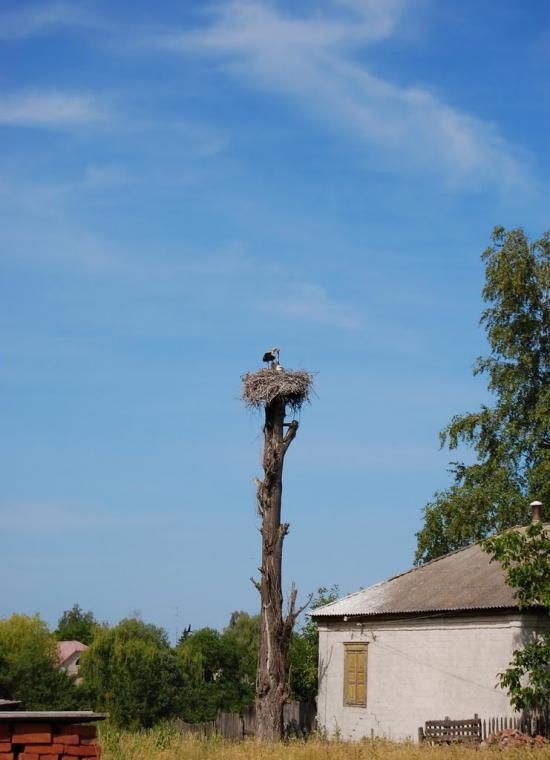 Крейдянка з panoramio.com - Крейдянка