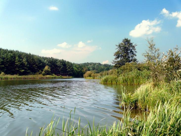 Скоморохи з panoramio.com - Скоморохи