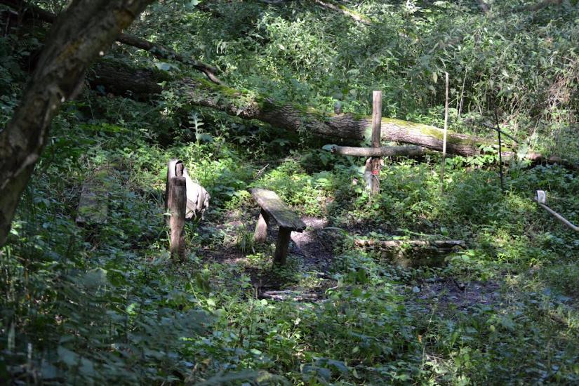 Грабовське з panoramio.com - Грабовское