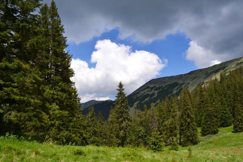 Черник з panoramio.com - Черник