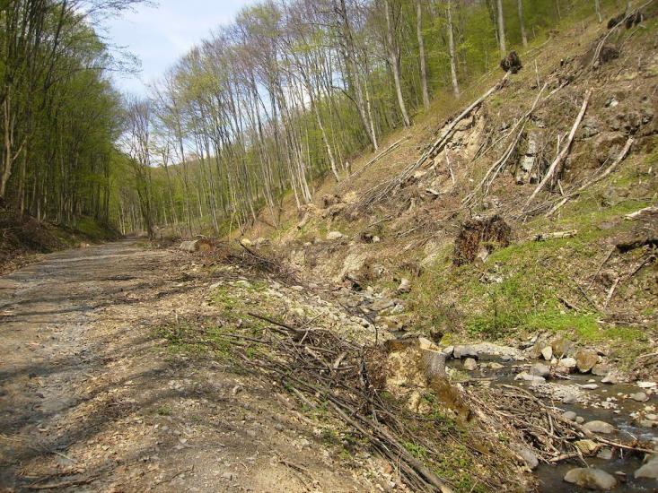 Ворочово з panoramio.com - Ворочево