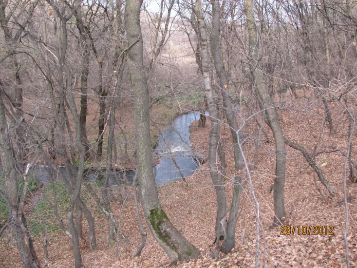 Вергулівка з panoramio.com - Вергулівка