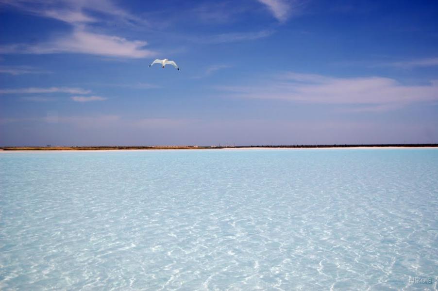 Сиротине з panoramio.com - Сиротине