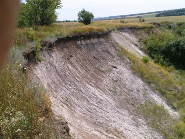 Данилівка з panoramio.com - Даниловка