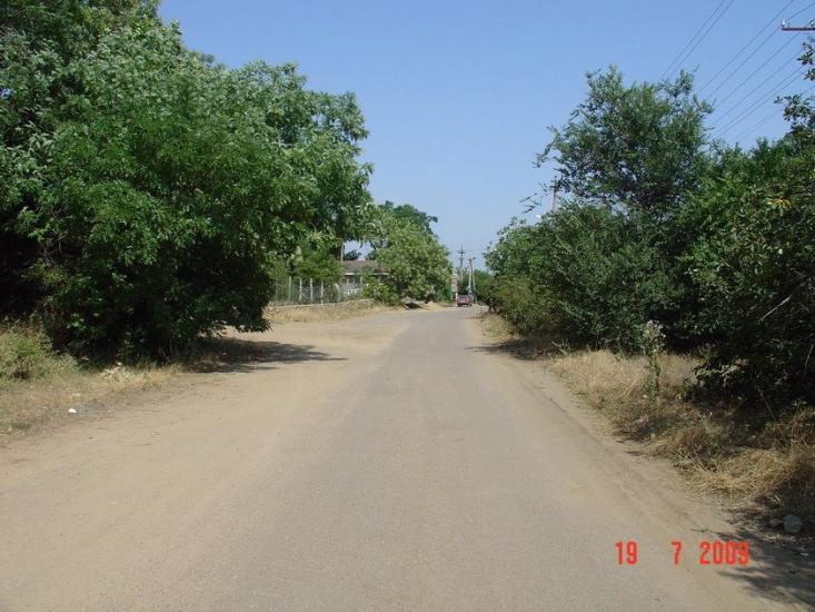 Холодна Балка з panoramio.com - Холодная Балка