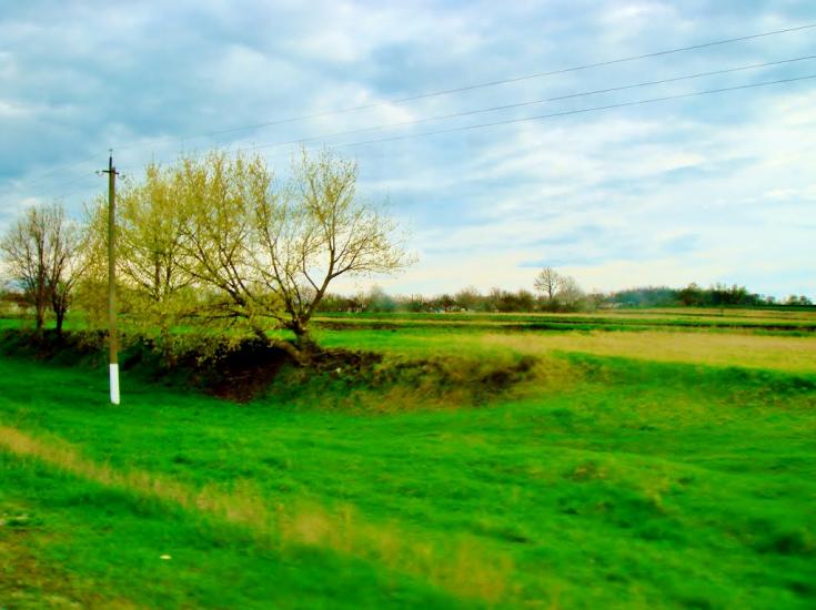 Бране Поле з panoramio.com - Браное Поле