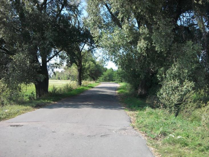 Терехівка з panoramio.com - Тереховка