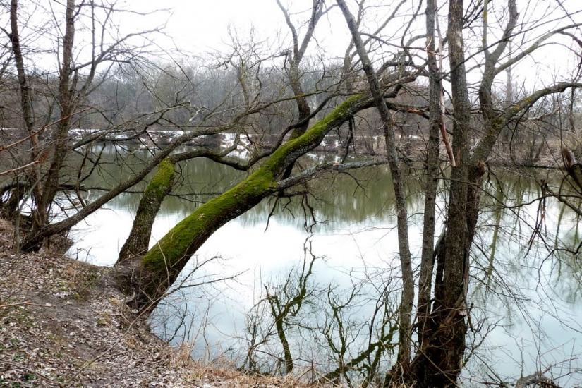 Черемушне з panoramio.com - Cheremushne