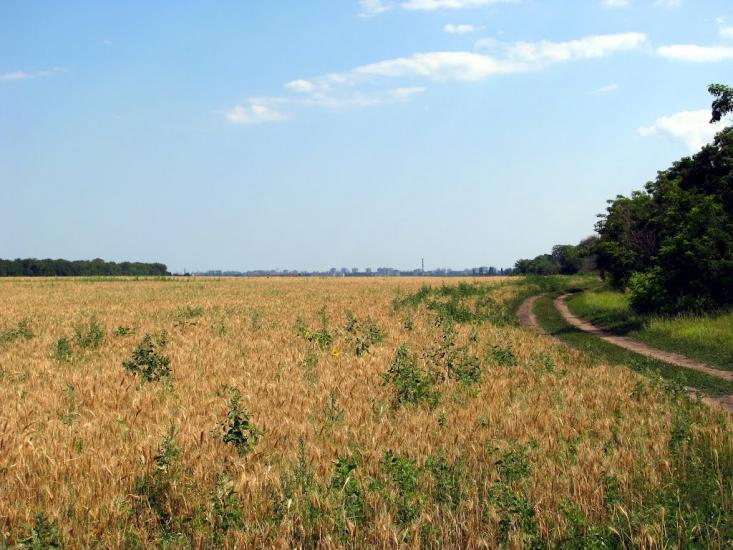 Переможне з panoramio.com - Переможное