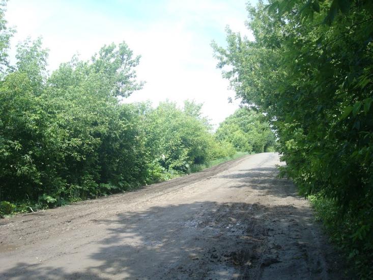 Іванківці з panoramio.com - Іванківці