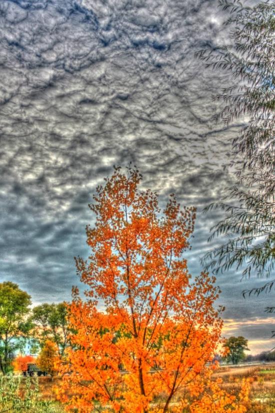 Баришівка з panoramio.com - Барышевка