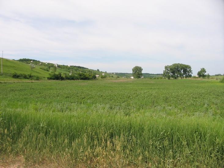 Циркуни з panoramio.com - Циркуни